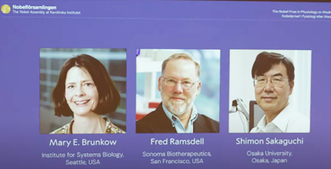 Ini Dia Penerima Nobel Kedokteran2025: Mary E Brunkow, Fred Ramsdell, dan Shimon Sakaguchi